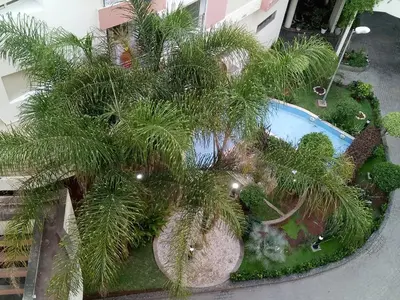 an overhead view of a palm tree and a swimming pool at Apartment with Terrace in Casablanca