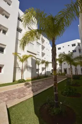 a palm tree in front of a building at Bouznika 22 in Bouznika