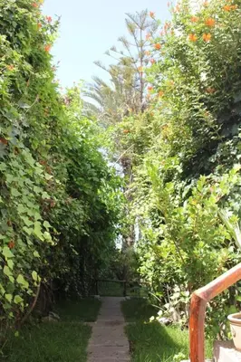 a path through a garden with trees and bushes at La Grande Proprit toile De Mer in Skhirat