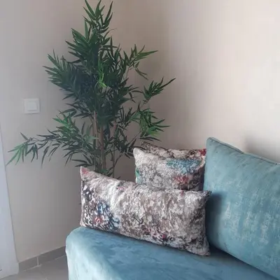 a blue couch with two pillows and a plant at Appart. Luxueux avec piscine, cosy, bien situé in Bouznika