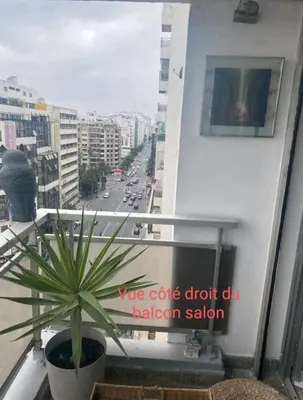 a potted plant sitting on a window sill on a balcony at Appartement RIM in Casablanca