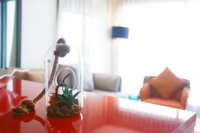 a small plant in a glass jar on a table at Tantan golden 5 not far from beach in Casablanca