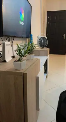 a living room with a tv and two potted plants at Lovely 1-Bed Apartment in Skhirat in Skhirat