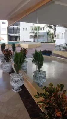 a group of potted plants in a building at Bouznika Centre ville in Bouznika