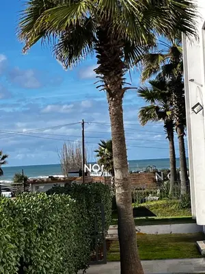 a palm tree in front of a building with the ocean at Appartement front de mer avec piscine en face des plages privées in Dar Bouazza