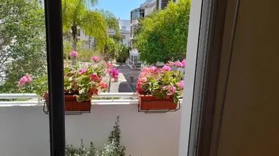 a window with potted flowers on a balcony at Adarissa House in Rabat