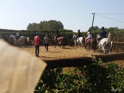 a group of people riding horses on a dirt road at Magnifique Appartement avec Piscine à Tamaris in Tamaris