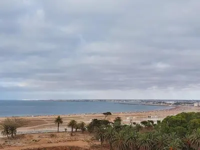 a beach with palm trees and a body of water at Central Park House - 70m² in Mohammedia