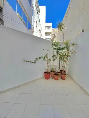 a group of potted plants on a white wall at Appartement de lux in Casablanca