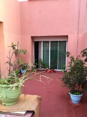a patio with potted plants in front of a pink building at Property located in a quiet area close to the train station and town in Casablanca
