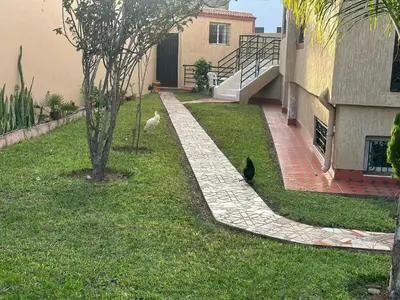 two cats standing in the grass next to a house at Garden Beet in Sidi Rahal