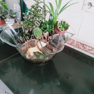 a glass bowl filled with plants on a table at Appartement à peu près 10 mn de la plage et une demie heur verre le stade dhonneur in Casablanca