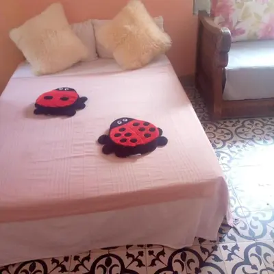 two lady bugs are sitting on a bed at Spacious bedrooms in a traditional house in Rabat