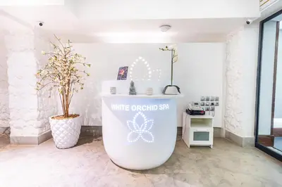 a white organic shop with a plant in a room at One Hotel Casablanca in Casablanca