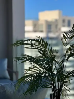 a green plant in a room with a window at The Panorama of Marina - AppartAli in Casablanca