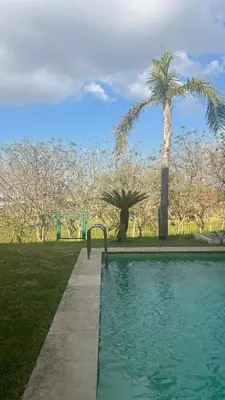 a swimming pool with a bench next to a palm tree at Golf view Villa with Jacuzzi- By AppartAli in Bouskoura