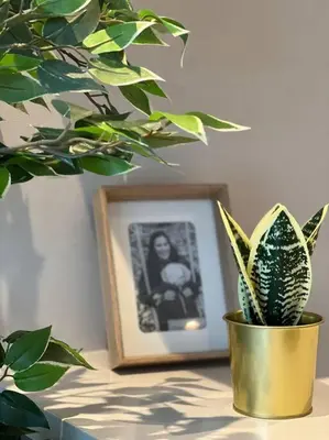 a potted plant sitting on a table next to a picture at Presidential Suite City Center by AppartAli in Casablanca