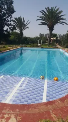 a large swimming pool with palm trees in the background at Escape! Ultimate Getaway for Friends in Casablanca
