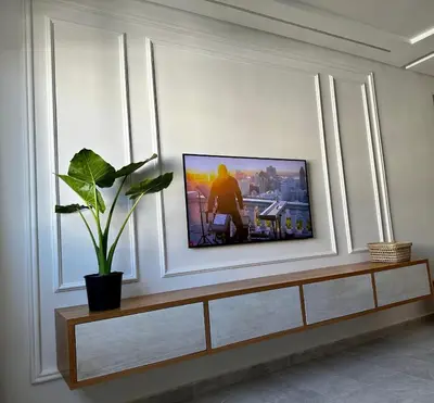 a flat screen tv on a wall with a plant at Studio minimaliste marbella beach in Mansouria
