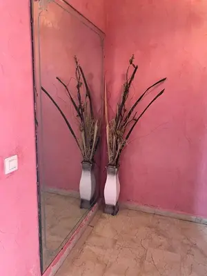 two vases with plants in them in front of a mirror at Appartement au bord de l'eau in Mohammedia