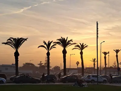 a group of palm trees in a parking lot with cars at Les Portes de l'Océan avec piscine uniquement l'été in El Harhoura