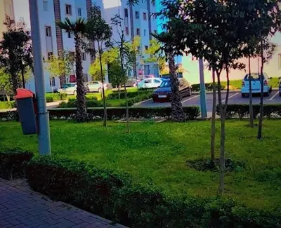 a park with palm trees and a street with cars at Havre de Paix chez Lamine in El Harhoura