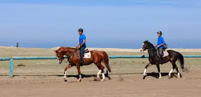 two people riding horses on a dirt track at L' Amphitrite Palace Beach Resort & Spa in Skhirat