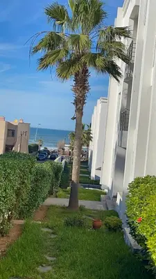a palm tree on a sidewalk next to a building at Résidence Galets Sur Mer in Dar Bouazza