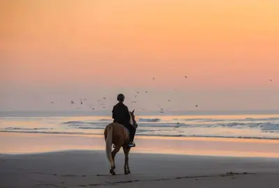 a person riding a horse on the beach at Mazagan Beach & Golf Resort in El Jadida
