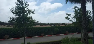 a street with a palm tree and a road at Garden Bay - Appartement en bord de mer in Tamaris